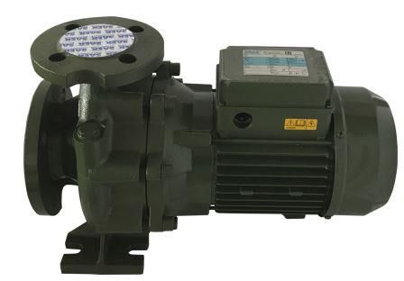 Насосный агрегат моноблочный фланцевый SAER IR 32-125A в Ростове-на-Дону 